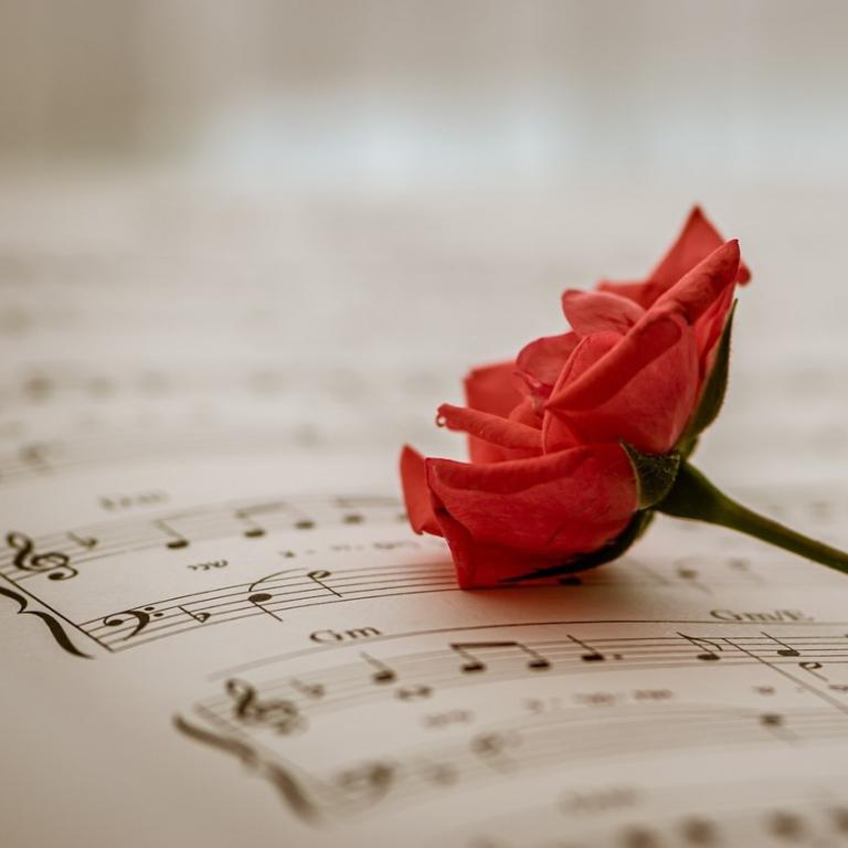 Musiknoten mit einer roten Rose Musiknoten mit einer roten Rose